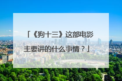 《狗十三》这部电影主要讲的什么事情？