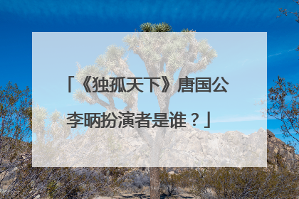 《独孤天下》唐国公李昞扮演者是谁?