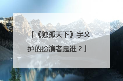 《独孤天下》宇文护的扮演者是谁？