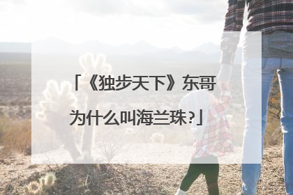 《独步天下》东哥为什么叫海兰珠?