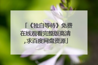 《独自等待》免费在线观看完整版高清,求百度网盘资源