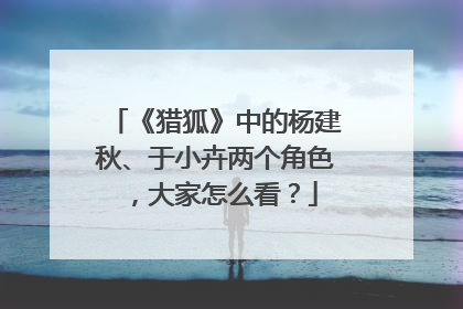 《猎狐》中的杨建秋、于小卉两个角色，大家怎么看？
