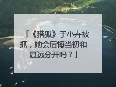 《猎狐》于小卉被抓，她会后悔当初和夏远分开吗？