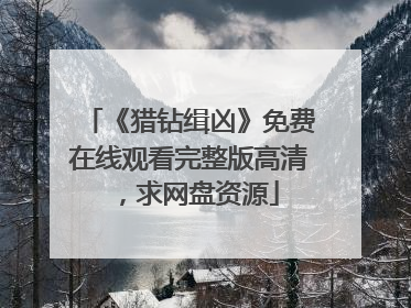 《猎钻缉凶》免费在线观看完整版高清，求网盘资源