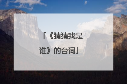 《猜猜我是谁》的台词