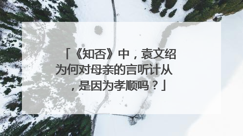 《知否》中,袁文绍为何对母亲的言听计从,是因为孝顺吗?