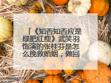 《知否知否应是绿肥红瘦》武笑羽饰演的张桂芬是怎么挽救婚姻,做回自己的呢