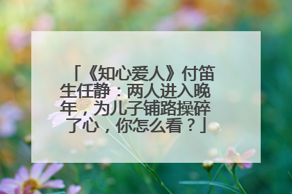 《知心爱人》付笛生任静：两人进入晚年，为儿子铺路操碎了心，你怎么看？