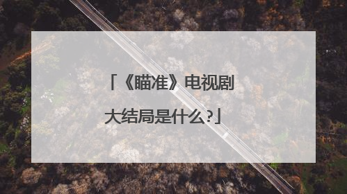 《瞄准》电视剧大结局是什么?