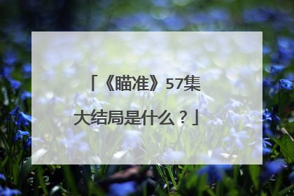 《瞄准》57集大结局是什么?