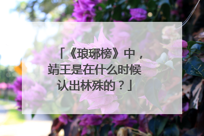 《琅琊榜》中,靖王是在什么时候认出林殊的?