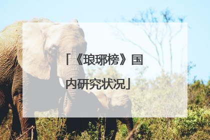 《琅琊榜》国内研究状况