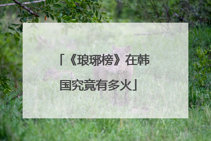 《琅琊榜》在韩国究竟有多火