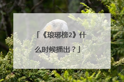 《琅琊榜2》什么时候播出？