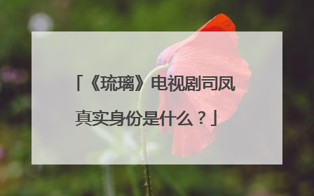 《琉璃》电视剧司凤真实身份是什么?