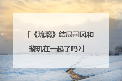 《琉璃》结局司凤和璇玑在一起了吗?