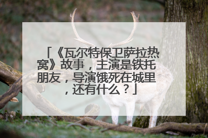 《瓦尔特保卫萨拉热窝》故事,主演是铁托朋友,导演饿死在城里,还有什么?