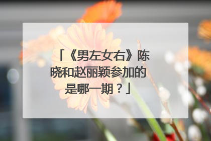 《男左女右》陈晓和赵丽颖参加的是哪一期?