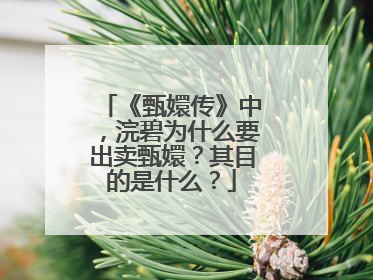 《甄嬛传》中，浣碧为什么要出卖甄嬛？其目的是什么？