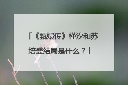 《甄嬛传》槿汐和苏培盛结局是什么？