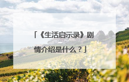《生活启示录》剧情介绍是什么？
