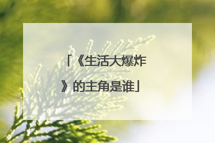 《生活大爆炸》的主角是谁