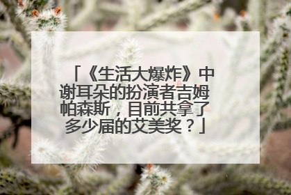 《生活大爆炸》中谢耳朵的扮演者吉姆帕森斯,目前共拿了多少届的艾美奖?