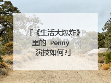 《生活大爆炸》里的 Penny 演技如何?