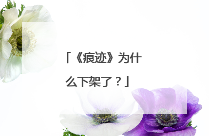 《痕迹》为什么下架了？