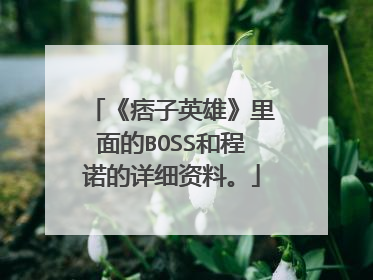 《痞子英雄》里面的BOSS和程诺的详细资料。