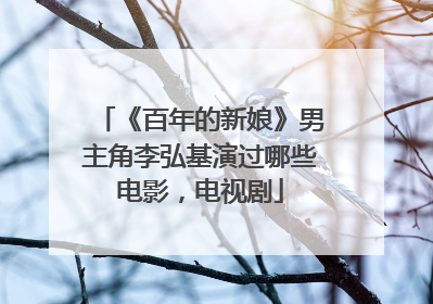 《百年的新娘》男主角李弘基演过哪些电影，电视剧