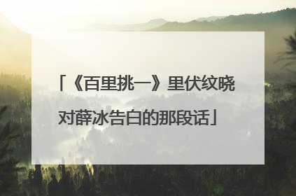 《百里挑一》里伏纹晓对薛冰告白的那段话