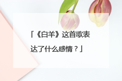 《白羊》这首歌表达了什么感情?