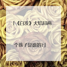《白发》大结局两个孩子是谁的?
