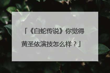 《白蛇传说》你觉得黄圣依演技怎么样？