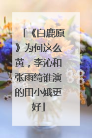 《白鹿原》为何这么黄,李沁和张雨绮谁演的田小娥更好