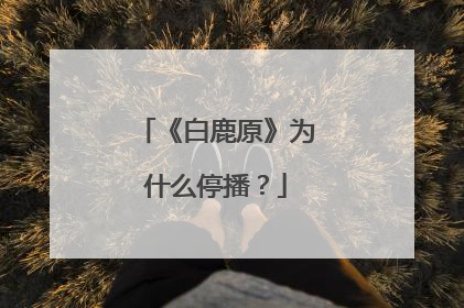 《白鹿原》为什么停播?