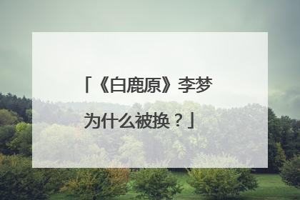 《白鹿原》李梦为什么被换？