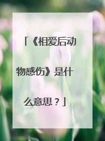 《相爱后动物感伤》是什么意思?