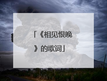 《相见恨晚》的歌词