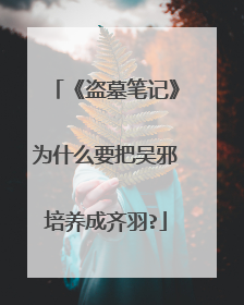 《盗墓笔记》为什么要把吴邪培养成齐羽?