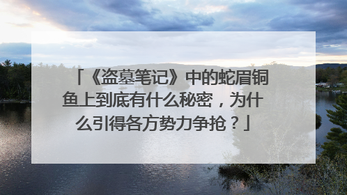 《盗墓笔记》中的蛇眉铜鱼上到底有什么秘密,为什么引得各方势力争抢?