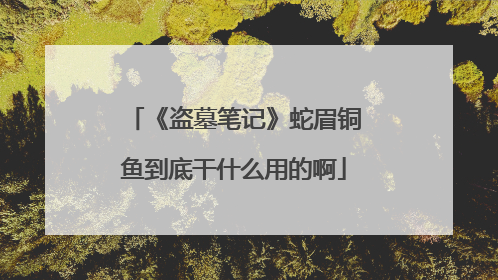 《盗墓笔记》蛇眉铜鱼到底干什么用的啊