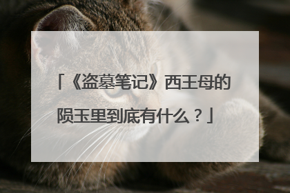 《盗墓笔记》西王母的陨玉里到底有什么?