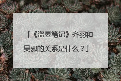 《盗墓笔记》齐羽和吴邪的关系是什么？