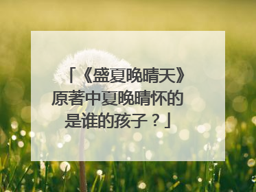 《盛夏晚晴天》原著中夏晚晴怀的是谁的孩子？
