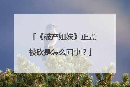 《破产姐妹》正式被砍是怎么回事?