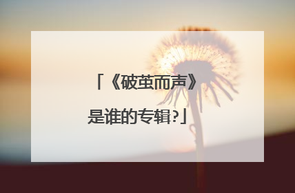 《破茧而声》是谁的专辑?