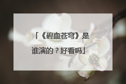 《碧血苍穹》是谁演的？好看吗