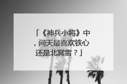 《神兵小将》中，问天最喜欢铁心还是北冥雪？